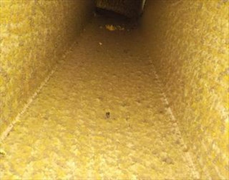 ダクト内清掃前 ダクト内清掃前